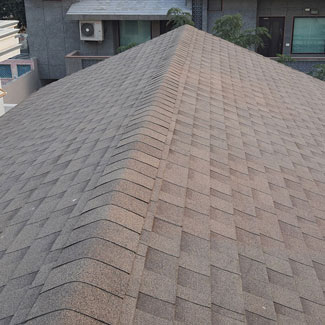 10-roof-shingles